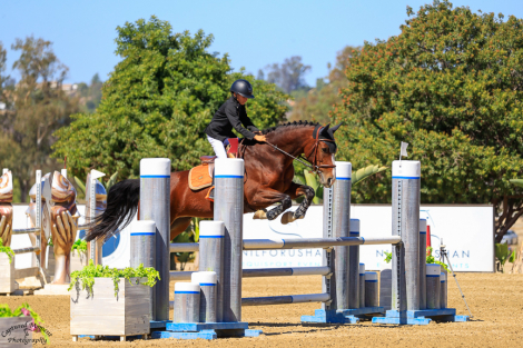 HorseID: 2299605 Olympus - PhotoID: 1089326