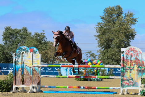 HorseID: 2299605 Olympus - PhotoID: 1089327