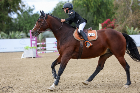 HorseID: 2299605 Olympus - PhotoID: 1089328