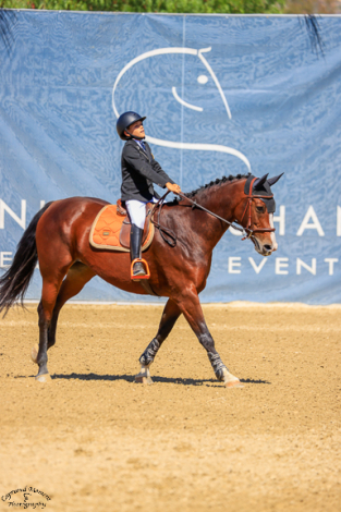 HorseID: 2299605 Olympus - PhotoID: 1089330