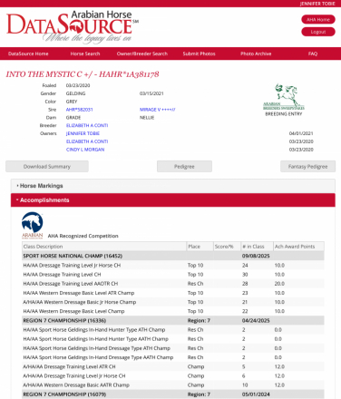 HorseID: 2299706 Into the Mystic C - PhotoID: 1080987