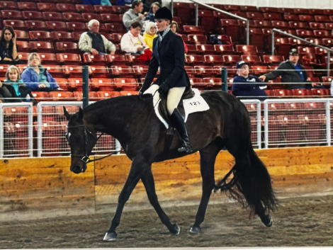 HorseID: 2300125 FURS N FORMALS - PhotoID: 1081562