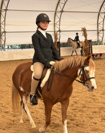 HorseID: 2300606 Blugrass Dream Big - PhotoID: 1082193