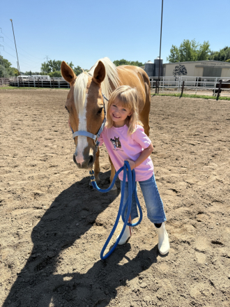 HorseID: 2300969 Small Town aka Buddy - PhotoID: 1082841