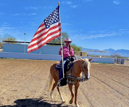 HorseID: 2300969 Small Town aka Buddy - PhotoID: 1082843