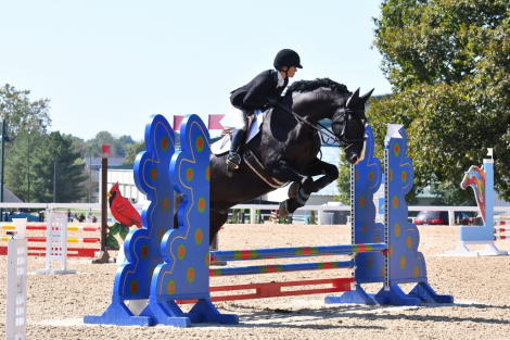 HorseID: 2301016 Roman Red Flag - PhotoID: 1088873