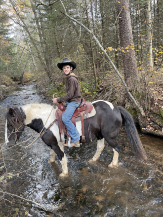 HorseID: 2301212 Lunchbox - PhotoID: 1088795