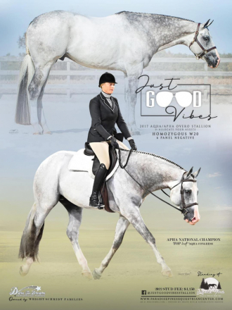 HorseID: 2301300 Mz Pearly Gaitz - PhotoID: 1083110