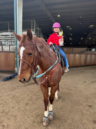 HorseID: 2301590 “Cash N Sum Chrome” - PhotoID: 1089783