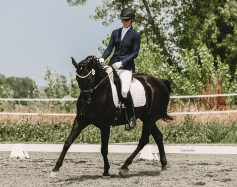 HorseID: 2302531 Spellbound 6 - PhotoID: 1084768