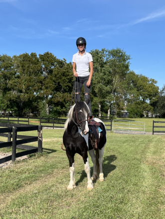 HorseID: 2303113 Mirage - PhotoID: 1085653