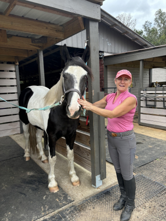 HorseID: 2303113 Mirage - PhotoID: 1085657