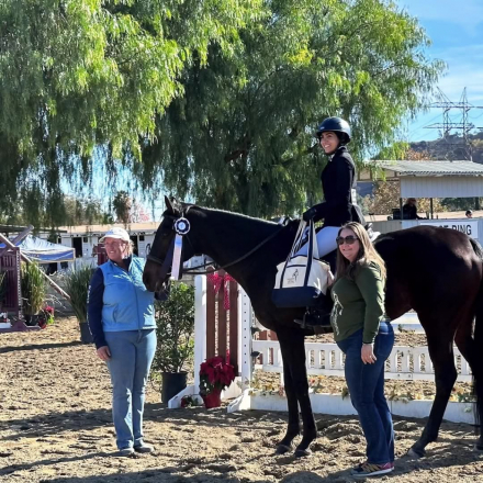 HorseID: 2303296 The Ultimate Schoolmaster - Lady Zeyva - PhotoID: 1088629