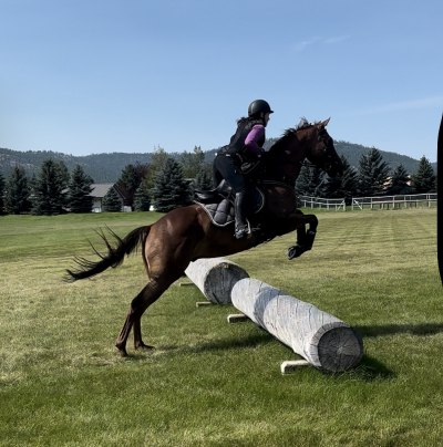 HorseID: 2304001 Dino Rojo - PhotoID: 1089957