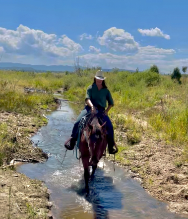 HorseID: 2304279 Mr Doodle - PhotoID: 1089322