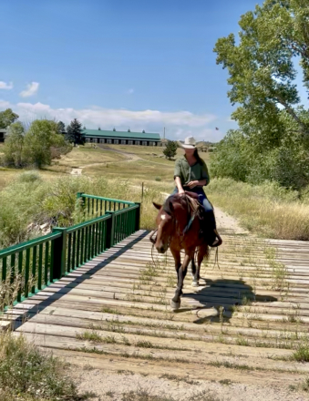 HorseID: 2304279 Mr Doodle - PhotoID: 1089323