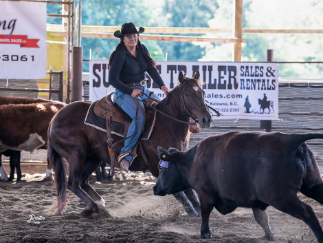 HorseID: 2304405 Blues Rey Dual - PhotoID: 1087389