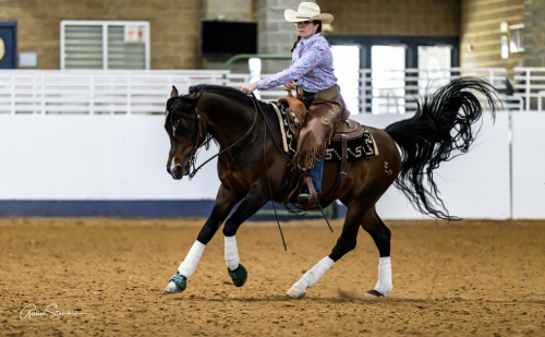 HorseID: 2304720 Exquicyte Dream - PhotoID: 1088776