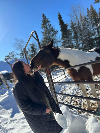 HorseID: 2304855 Brego - PhotoID: 1087931