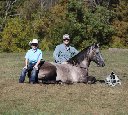 HorseID: 2304992 Ashton - PhotoID: 1088158