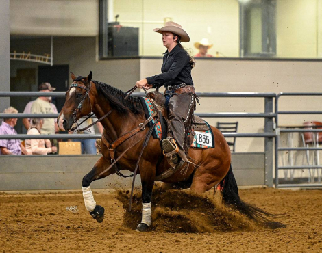 HorseID: 2304998 Snowy Yuba - PhotoID: 1088164