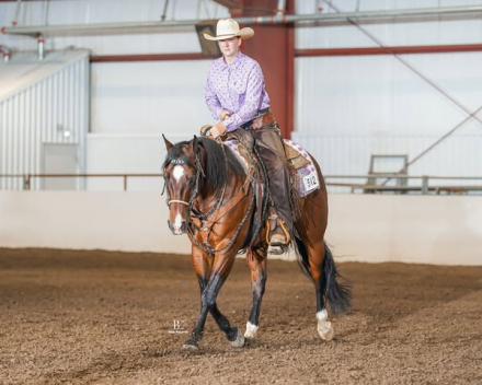 HorseID: 2304998 Snowy Yuba - PhotoID: 1088165