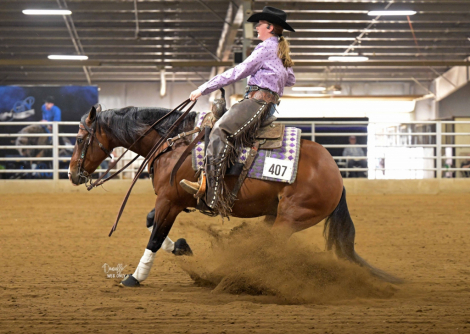 HorseID: 2304998 Snowy Yuba - PhotoID: 1088166