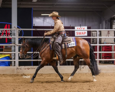 HorseID: 2304998 Snowy Yuba - PhotoID: 1088167