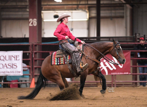 HorseID: 2304998 Snowy Yuba - PhotoID: 1088168