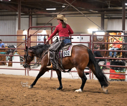 HorseID: 2304998 Snowy Yuba - PhotoID: 1088169