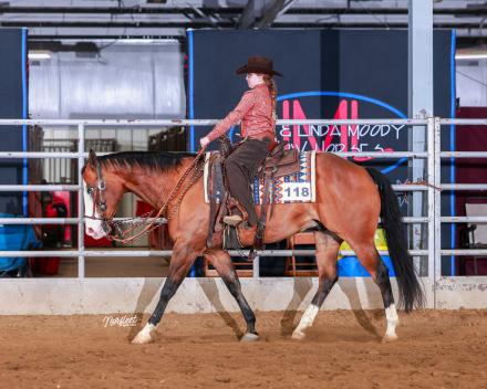 HorseID: 2305005 Hessmokedman - PhotoID: 1088177