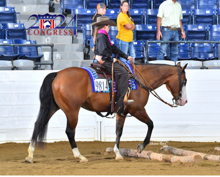 HorseID: 2305005 Hessmokedman - PhotoID: 1088179