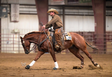 HorseID: 2305018 Electric Pepto - PhotoID: 1088191