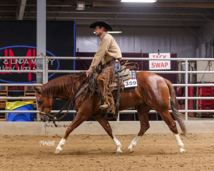 HorseID: 2305018 Electric Pepto - PhotoID: 1088192