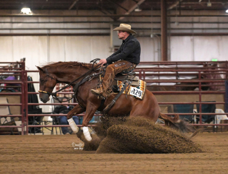 HorseID: 2305018 Electric Pepto - PhotoID: 1088193