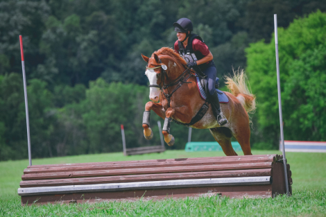 HorseID: 2305019 Solstice - PhotoID: 1088197