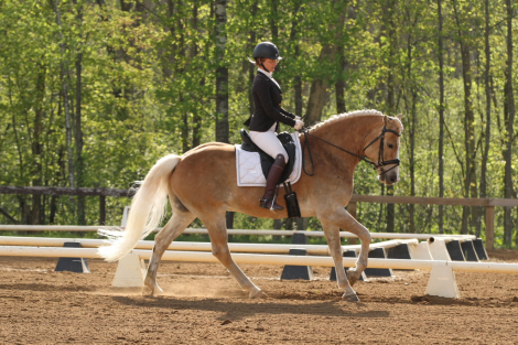 HorseID: 2305020 Act of Valor HOF - PhotoID: 1088198