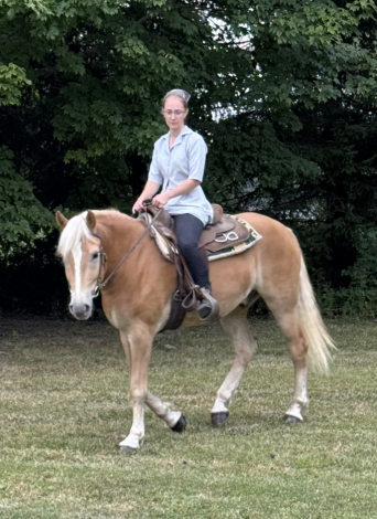 HorseID: 2305021 BRAVEHEART HTE - PhotoID: 1088199