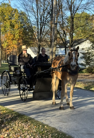 HorseID: 2305021 BRAVEHEART HTE - PhotoID: 1088200