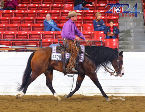 HorseID: 2305034 Capones Gotta Gun - PhotoID: 1088233