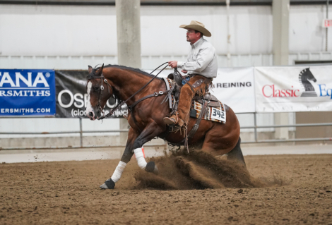 HorseID: 2305034 Capones Gotta Gun - PhotoID: 1088234