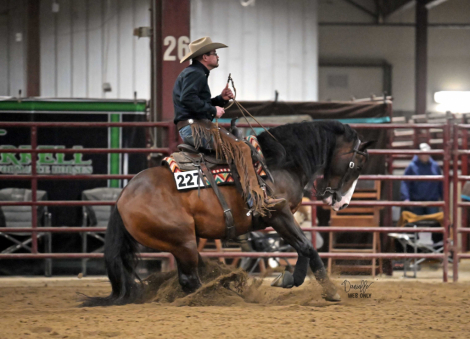 HorseID: 2305034 Capones Gotta Gun - PhotoID: 1088236