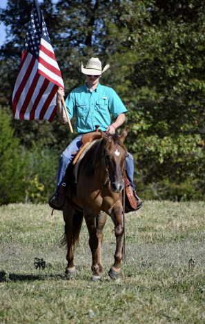 HorseID: 2305039 KBC JAZ Poco Edward - PhotoID: 1088317