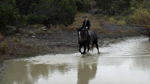 HorseID: 2305040 Slate HHC - PhotoID: 1088322