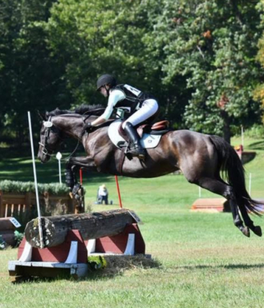 HorseID: 2305047 Frida - PhotoID: 1088241