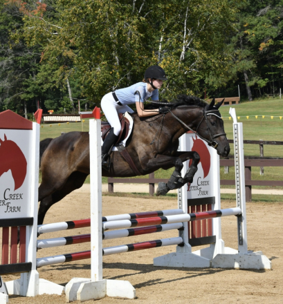 HorseID: 2305047 Frida - PhotoID: 1088242