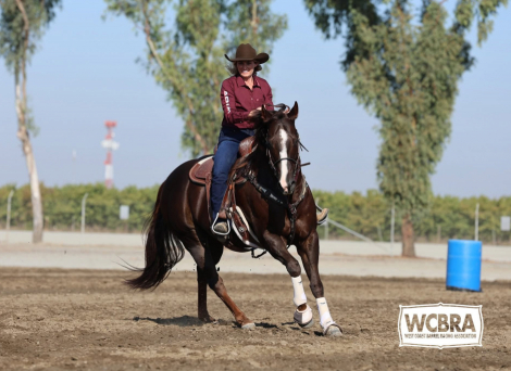 HorseID: 2305050 PYRO SIX MOONS WRANGLER - PhotoID: 1088257