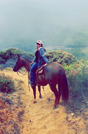 HorseID: 2305050 PYRO SIX MOONS WRANGLER - PhotoID: 1088258