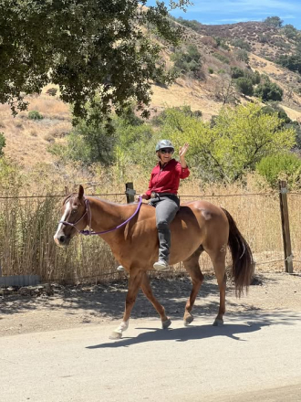 HorseID: 2305050 PYRO SIX MOONS WRANGLER - PhotoID: 1088259