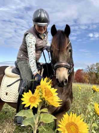 HorseID: 2305091 Frodo - PhotoID: 1088341